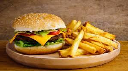 Classique burger + frites + compote