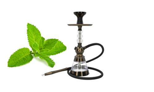 Menthe
