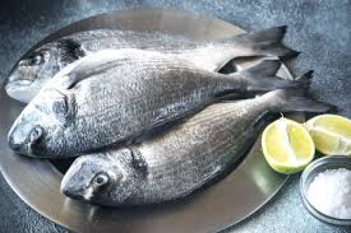 Dorade sauvage   1 kg