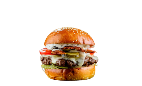 Burger DZ Special